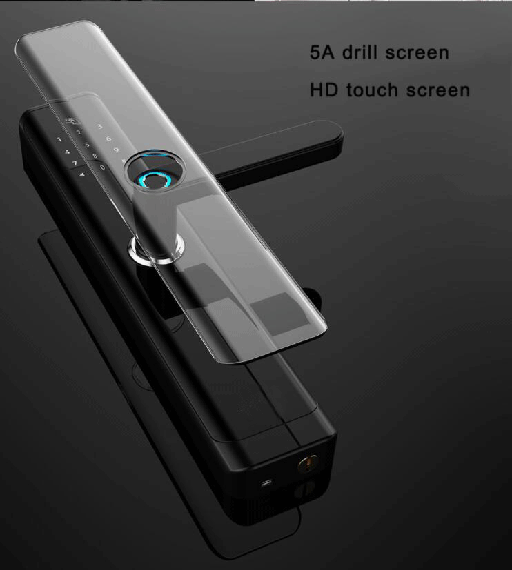 D19ZM-10.gif