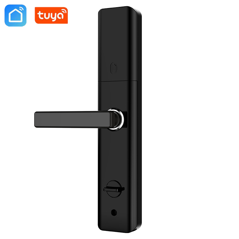 Anti-theft door password lock-WIFI